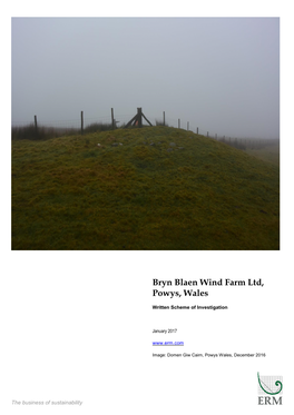 Bryn Blaen Wind Farm Ltd, Powys, Wales