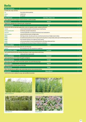 Download Herb Seed Assortment 2019/20