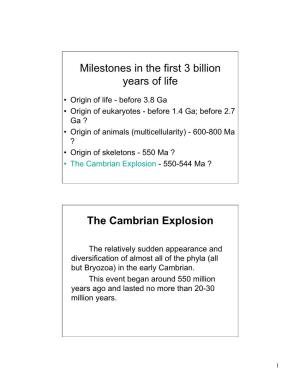 The Cambrian Explosion - 550-544 Ma ?