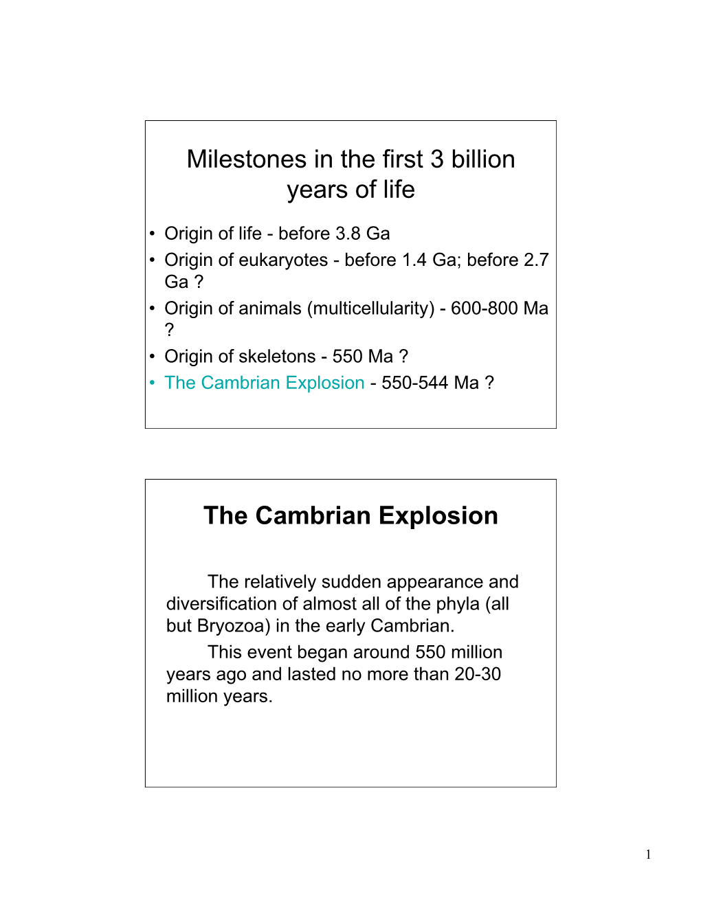 The Cambrian Explosion - 550-544 Ma ?