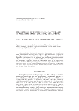 Epimorphosis of Heterosymelic Appendages in Tegenaria Atrica (Araneae, Agelenidae)