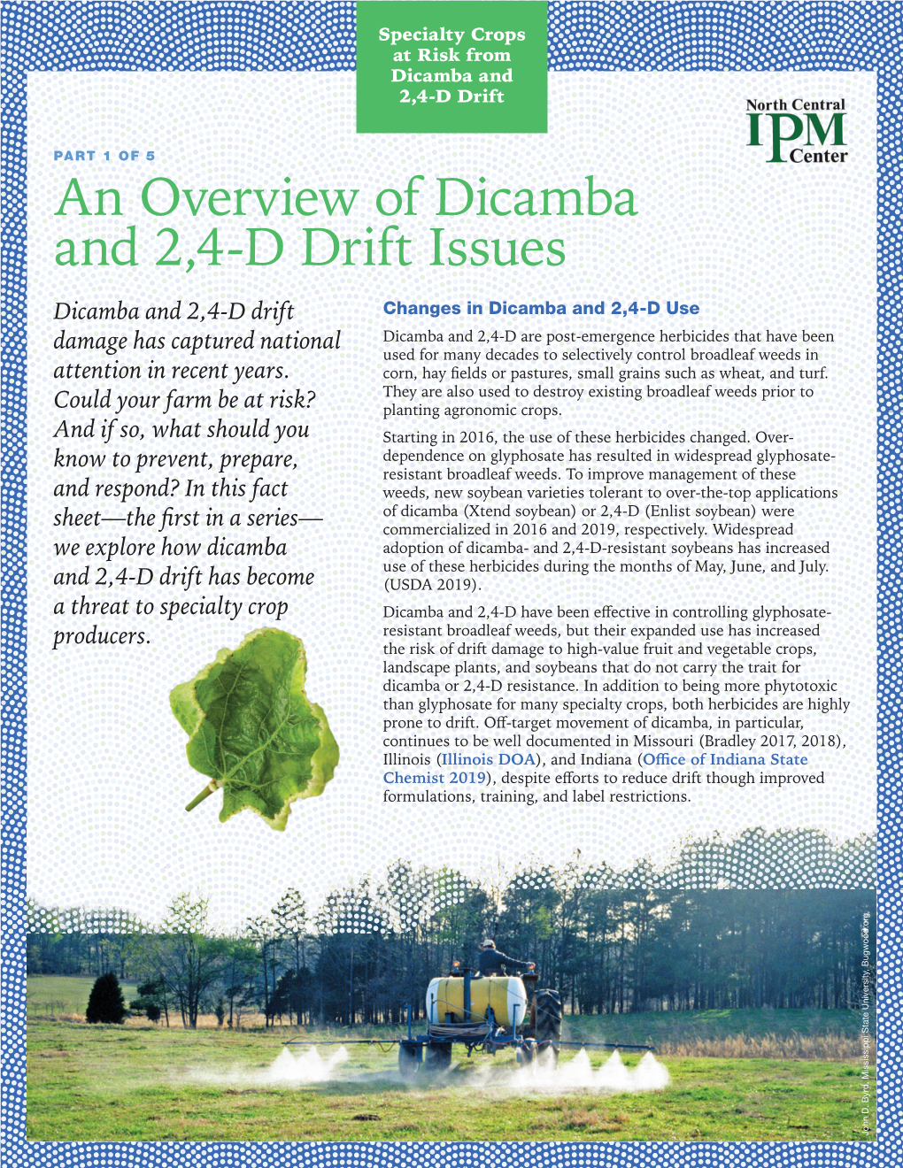 An Overview of Dicamba and 2,4-D Drift Issues