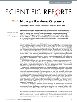 Nitrogen Backbone Oligomers