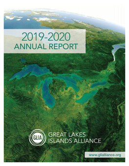 2019-20 Annual Report (Pdf)