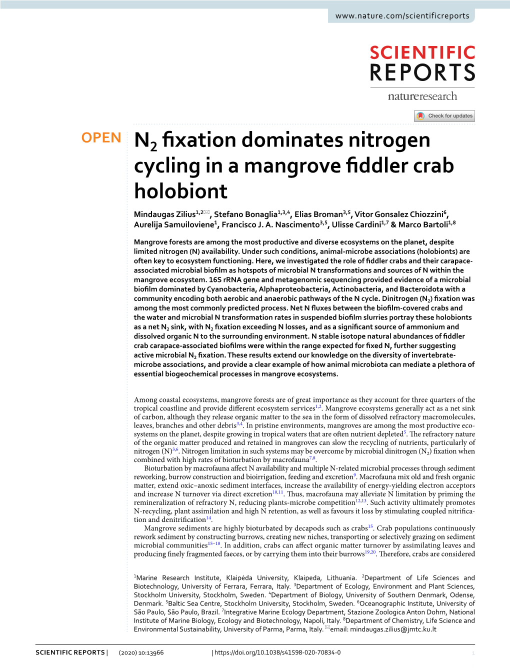 N2 Fixation Dominates Nitrogen Cycling in a Mangrove Fiddler Crab Holobiont