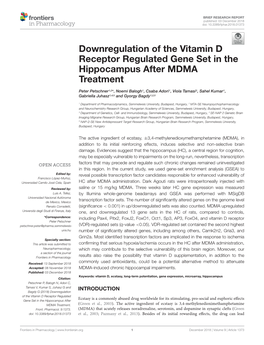 Downregulation of the Vitamin D Receptor Regulated Gene Set in the Hippocampus After MDMA Treatment