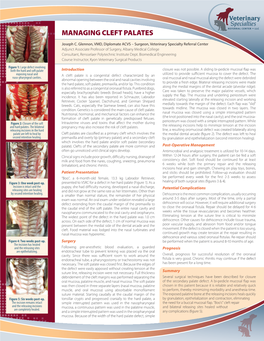 Managing Cleft Palates