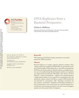 DNA Replicases from a Bacterial Perspective