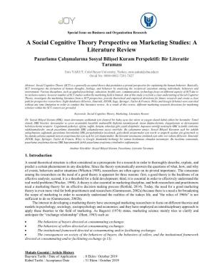 A Social Cognitive Theory Perspective on Marketing Studies