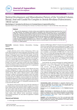 Skeletal Development and Mineralization Pattern of The