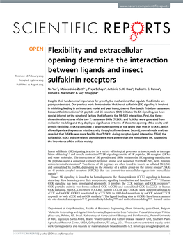 Flexibility and Extracellular Opening Determine the Interaction Between