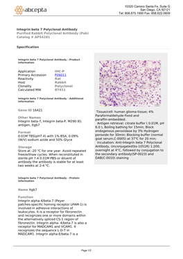Integrin Beta 7 Polyclonal Antibody Purified Rabbit Polyclonal Antibody (Pab) Catalog # AP54281