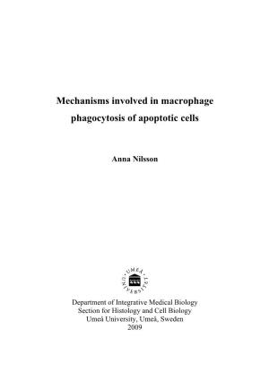 Mechanisms Involved in Macrophage Phagocytosis of Apoptotic Cells