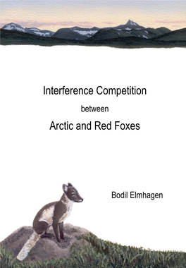 Interference Competition Arctic and Red Foxes