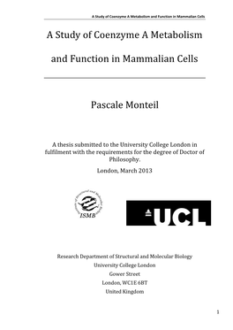 A Study of Coenzyme a Metabolism and Function in Mammalian Cells