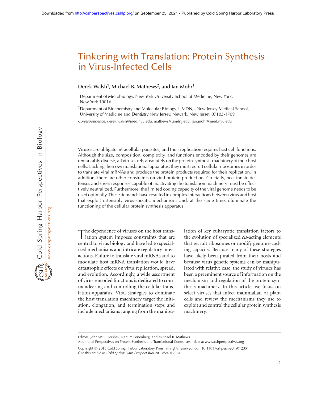 Tinkering with Translation: Protein Synthesis in Virus-Infected Cells
