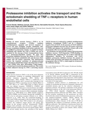 Proteasome Inhibition Activates the Transport and the Ectodomain Shedding of TNF-Α Receptors in Human Endothelial Cells