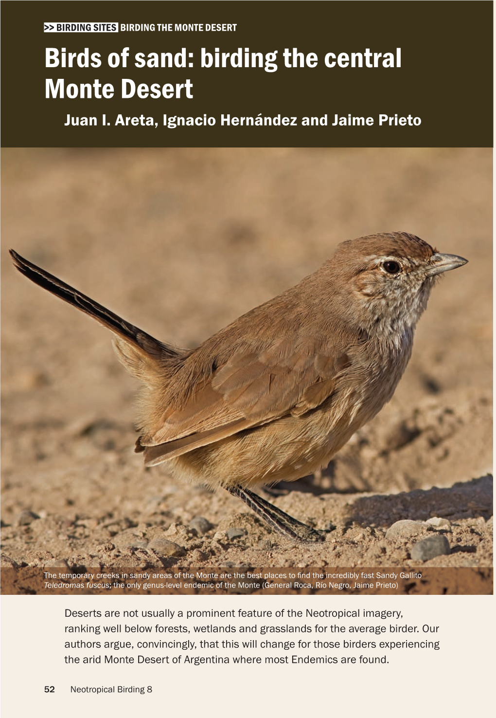 Birds of Sand: Birding the Central Monte Desert Juan I