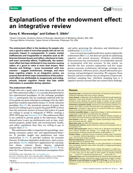 Explanations of the Endowment Effect: an Integrative Review