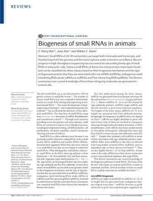 Biogenesis of Small Rnas in Animals