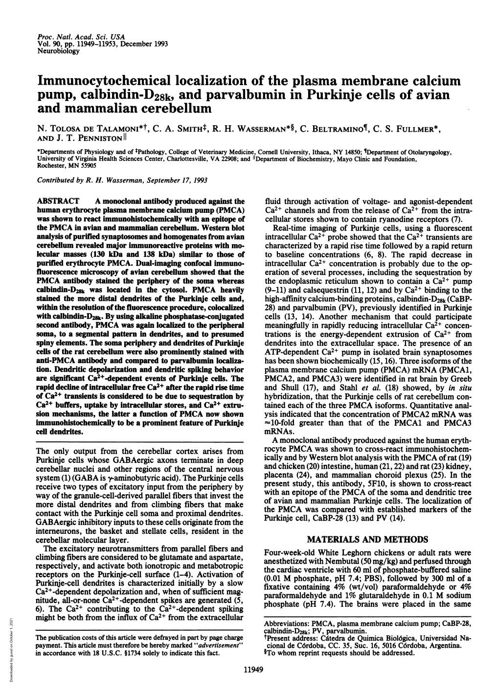 Immunocytochemical Localization of the Plasma Membrane Calcium Pump, Calbindin-D28k, and Parvalbumin in Purkinje Cells of Avian and Mammalian Cerebellum N