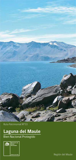 Laguna Del Maule Bien Nacional Protegido