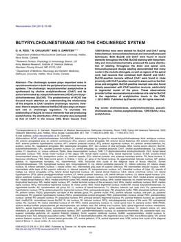 Butyrylcholinesterase and the Cholinergic System