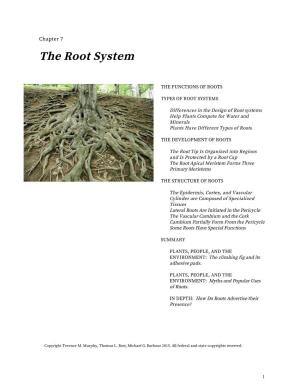 Chapter 7: the Root System