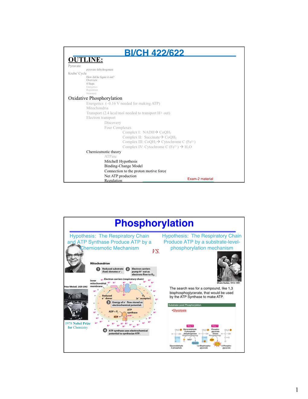 Phosphorylation