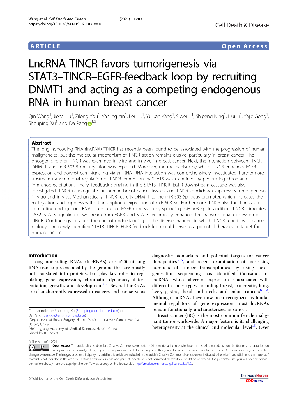 Lncrna TINCR Favors Tumorigenesis Via STAT3–TINCR–EGFR-Feedback