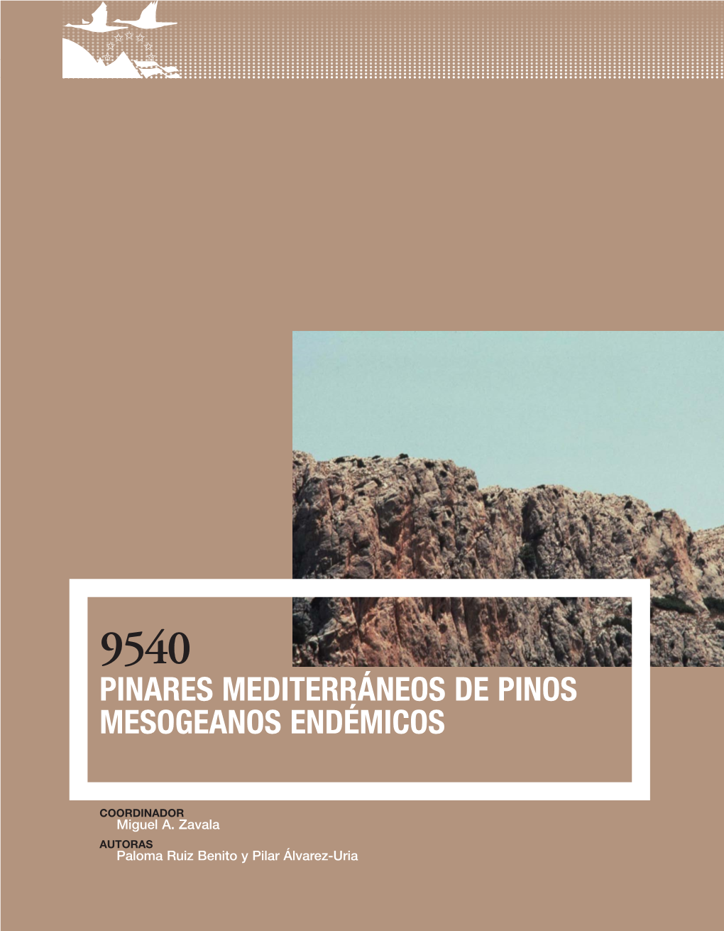9540 Pinares Mediterráneos De Pinos Mesogeanos Endémicos