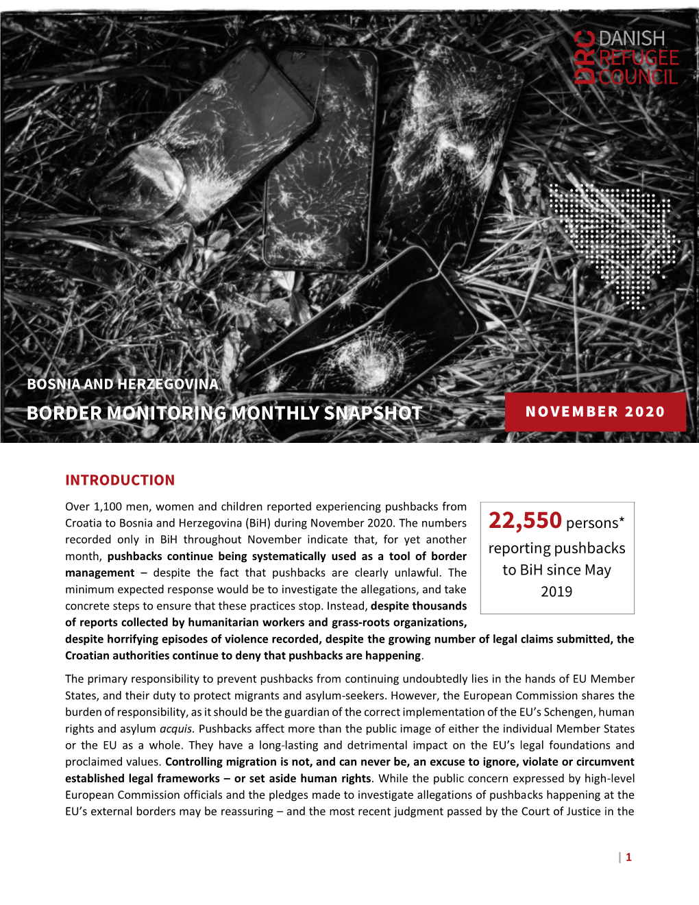 Border Monitoring Monthly Snapshot November 2020