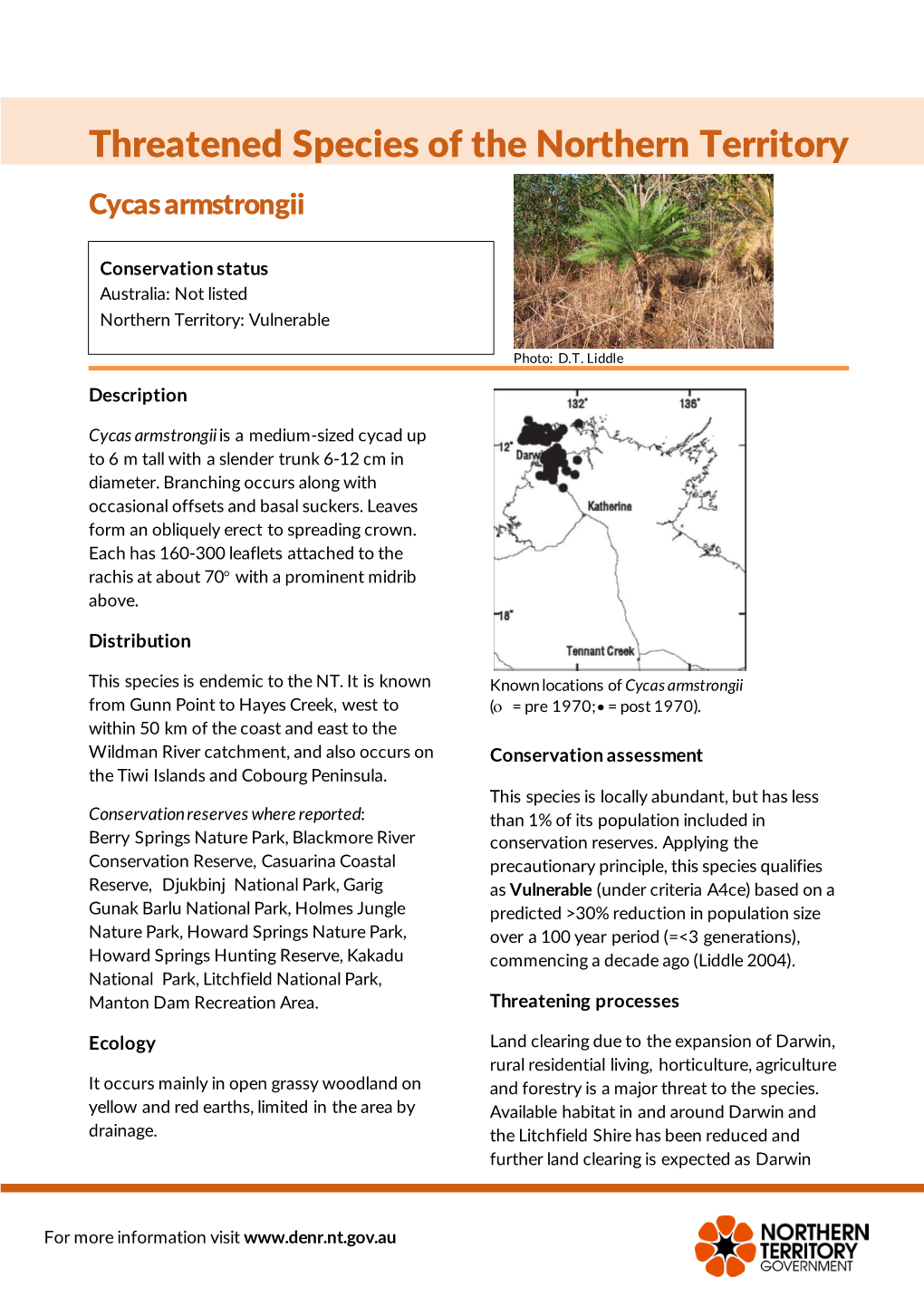 Cycas Armstrongii