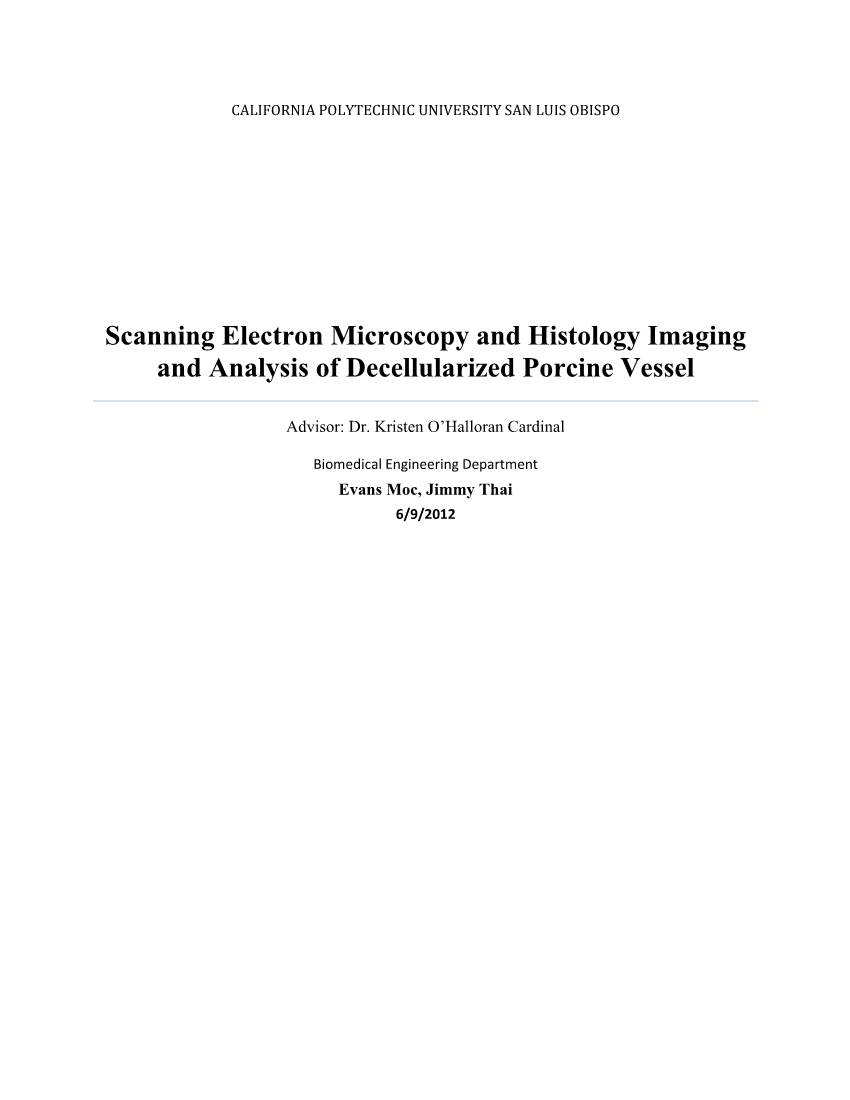 Scanning Electron Microscopy and Histology Imaging and Analysis of Decellularized Porcine Vessel