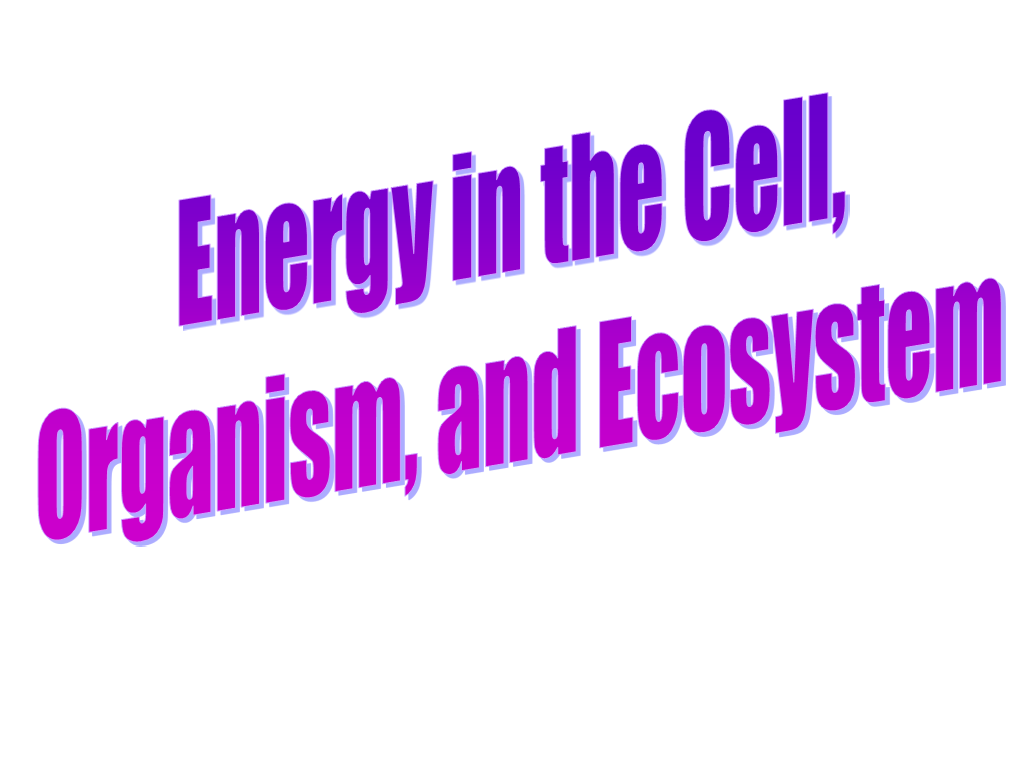 ATP= Most Commonly Used Energy in the Cell Mitochondria Convert Food