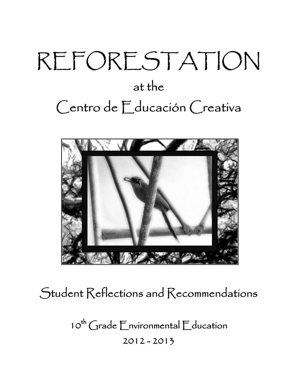 REFORESTATION at the Centro De Educación Creativa
