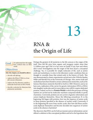 RNA & the Origin of Life