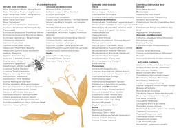 Bumblebee Garden Leaflet Download