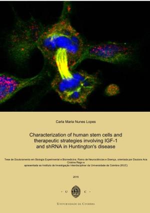 Characterization of Human Stem Cells and Therapeutic Strategies Involving IGF-1 and Shrna in Huntington's Disease