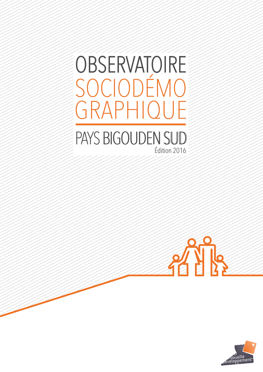 Observatoire Socio-Démographique Pays Bigouden Sud. Edition 2016