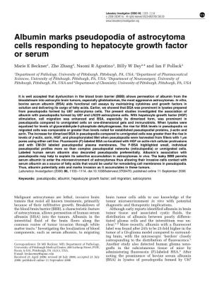 Albumin Marks Pseudopodia of Astrocytoma Cells Responding to Hepatocyte Growth Factor Or Serum