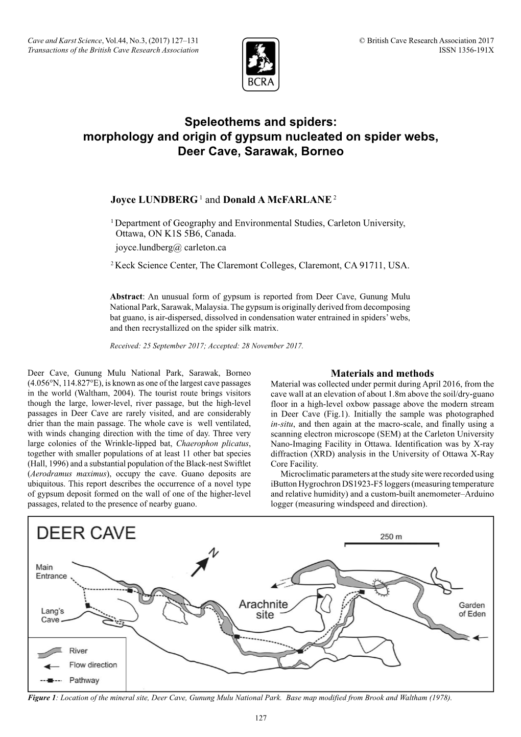 Morphology and Origin of Gypsum Nucleated on Spider Webs, Deer Cave, Sarawak, Borneo