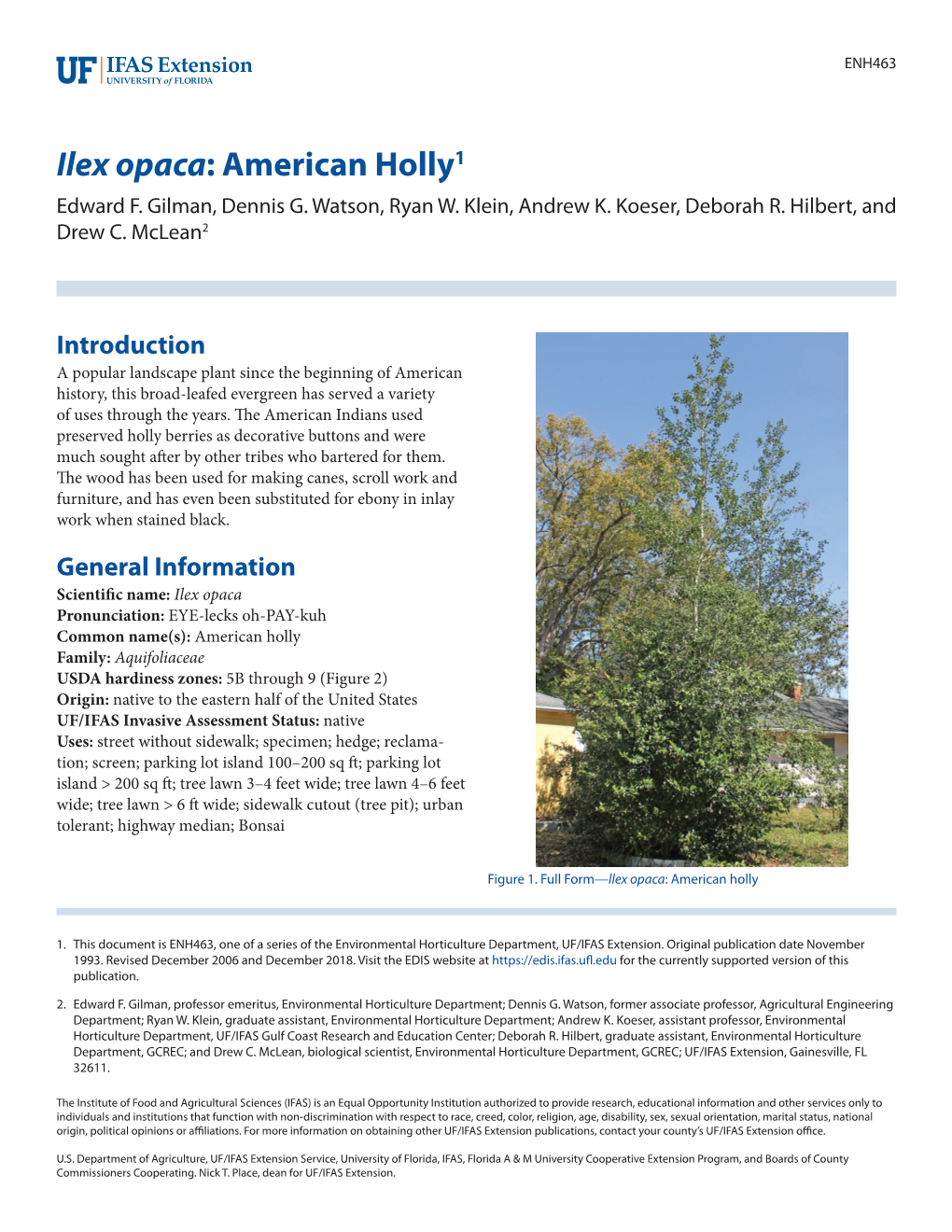 Ilex Opaca: American Holly1 Edward F