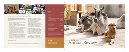 Annualreview