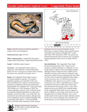 Nerodia Erythrogaster Neglecta Conant Copperbelly Water Snake
