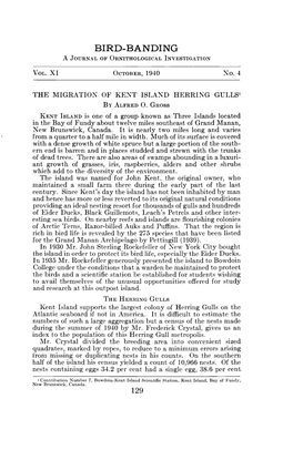 The Migration of Kent Island Herring Gulls • by Alfred O