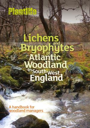 Atlantic Woodlands in the South Westlichens & Bryophytes