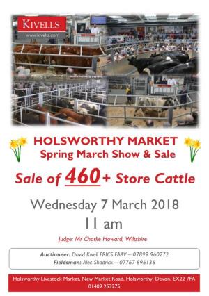 Sale of 460+ Store Cattle