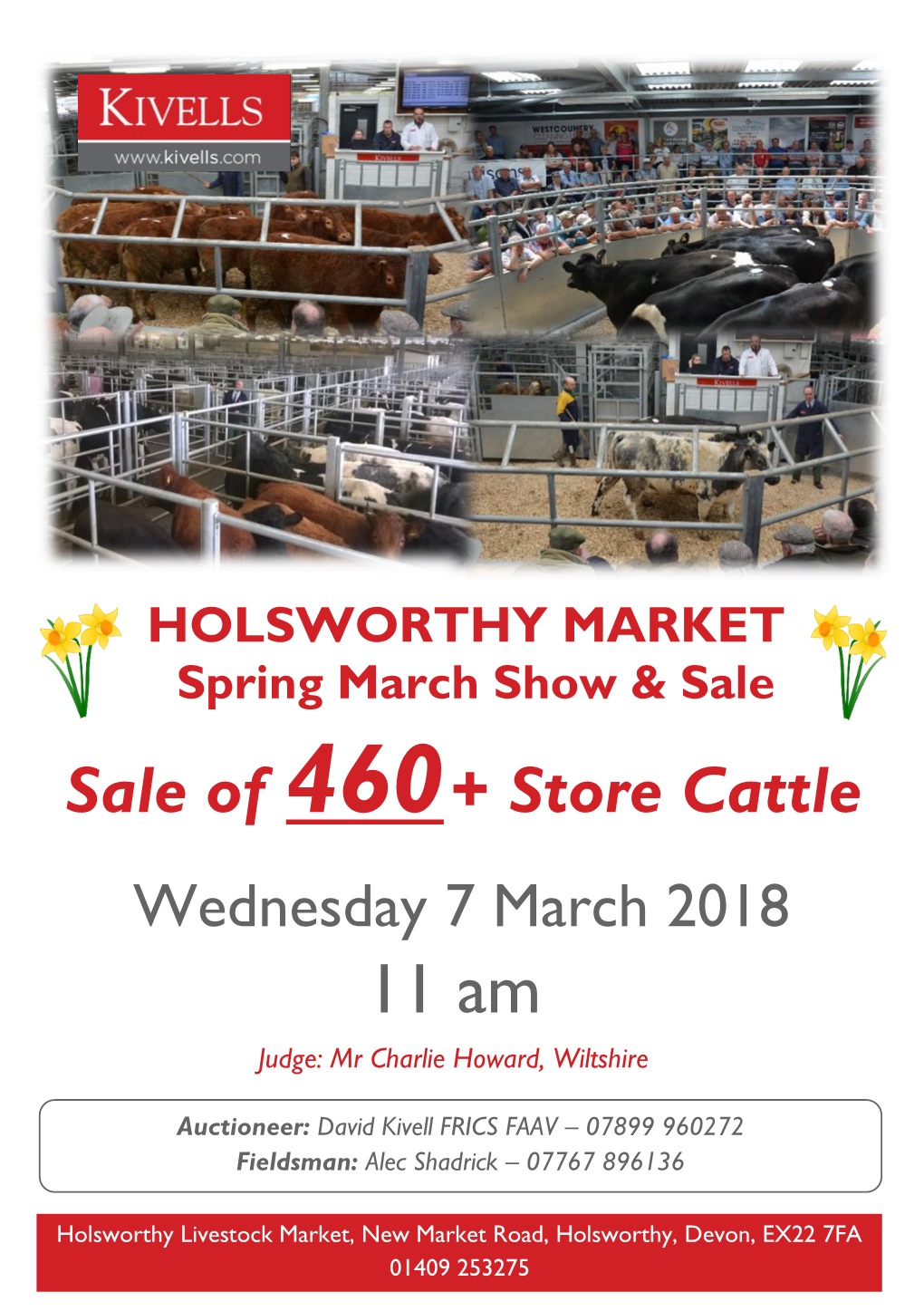 Sale of 460+ Store Cattle