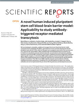 A Novel Human Induced Pluripotent Stem Cell Blood-Brain